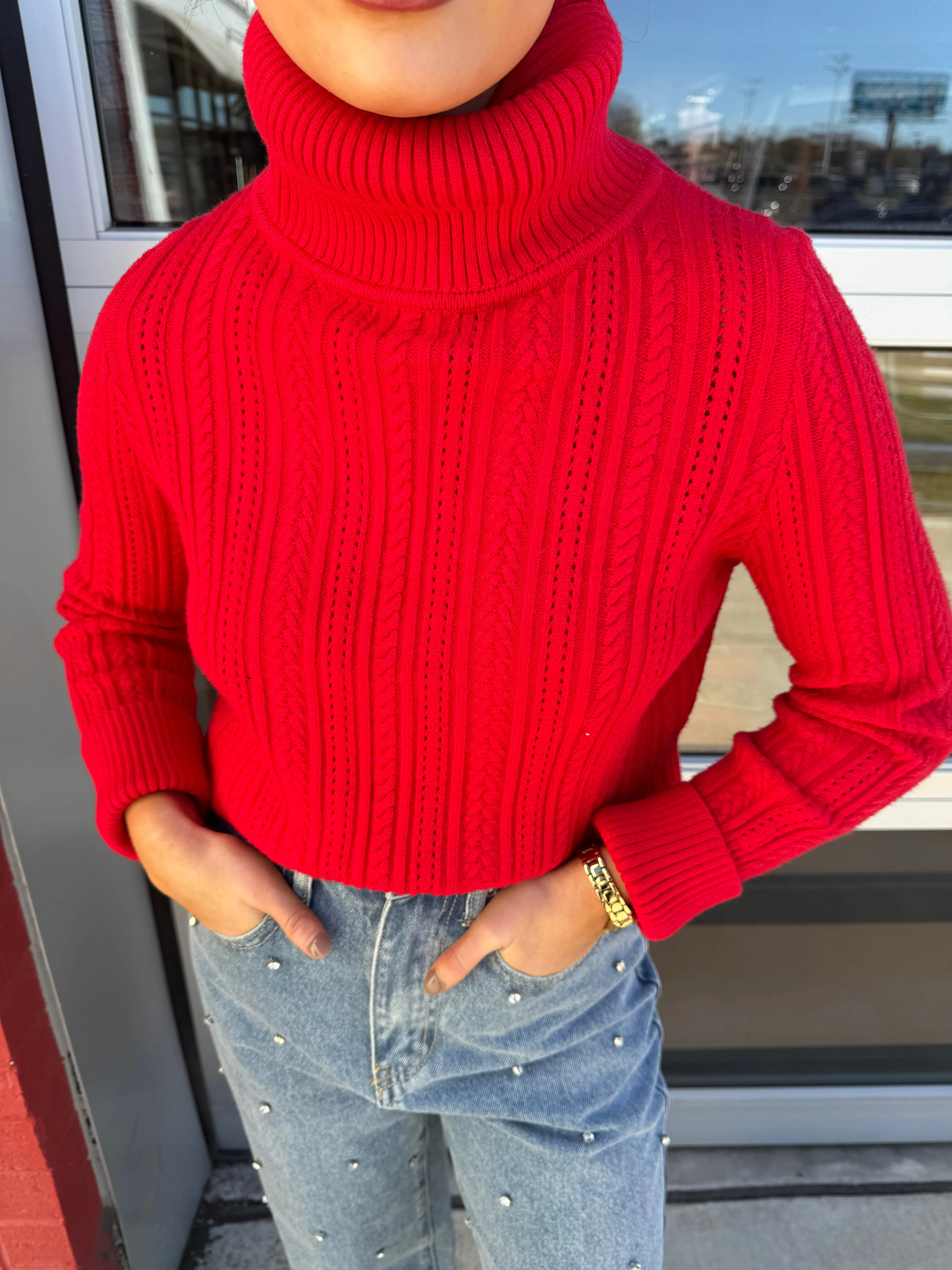 PERRIE TURTLENECK SWEATER